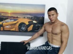 ALVAROVANEGAS
