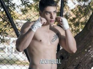 AdamBull