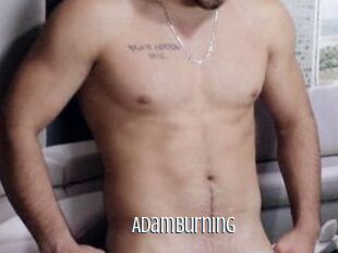 AdamBurning
