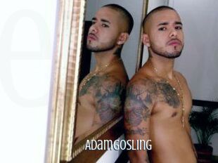 AdamGosling