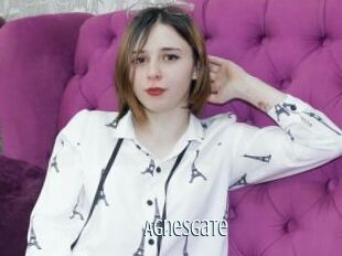 AgnesGate