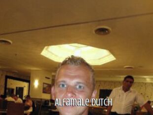 Alfamale_Dutch