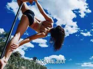 AliceCellador