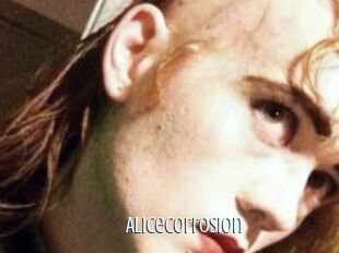 AliceCorrosion