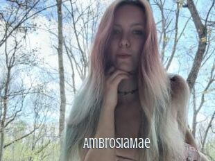AmbrosiaMae