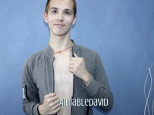 AmiableDavid