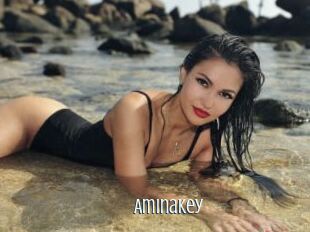 AminaKey