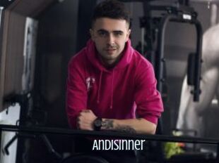 AndiSinner