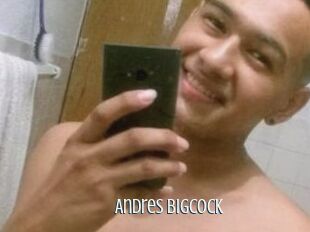 Andres_bigcock Edonkey xxx