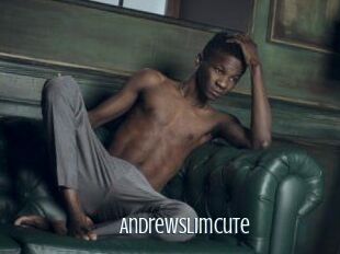 AndrewSlimCute