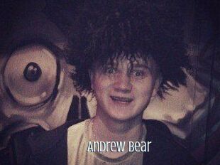 Andrew_Bear
