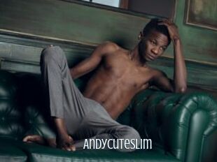 Andycuteslim