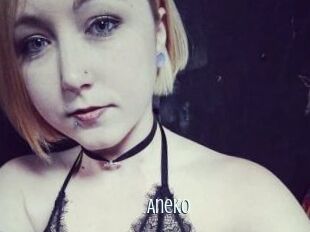 Aneko