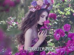 AngelFlyLaVid