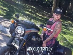 AngelofHarley