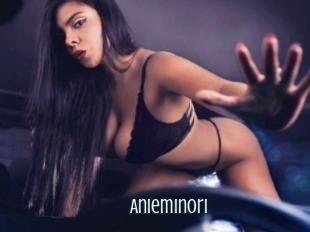 Anieminori