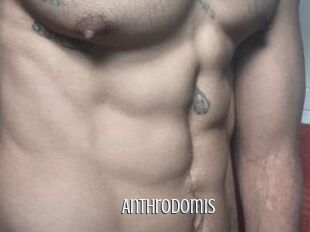 Anthrodomis