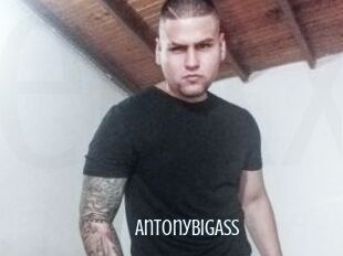 AntonyBigAss