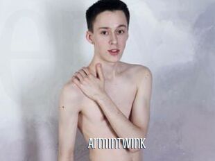 ArminTwink