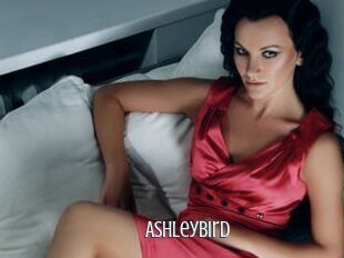 AshleyBird
