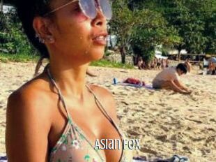 Asian_Fox