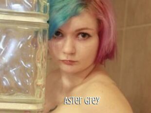 Aster_Grey