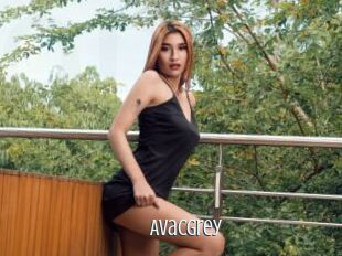 AvacGrey