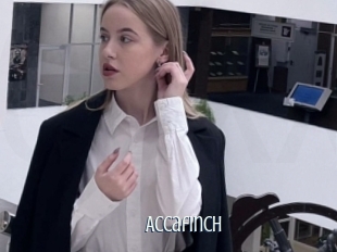 Accafinch