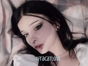 afracatlow Edonkey xxx