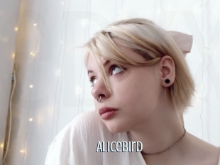 Alicebird