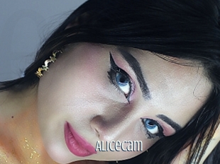 Alicecam