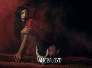 alicefloyd Edonkey xxx