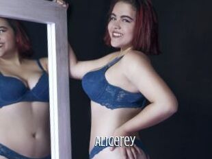 Alicerey