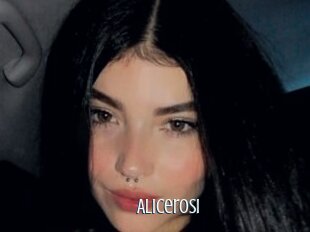 Alicerosi