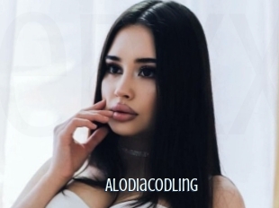 Alodiacodling