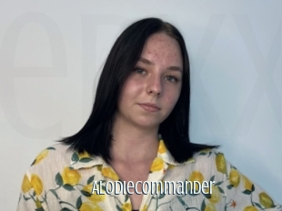 Alodiecommander