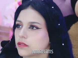 Ambarcams