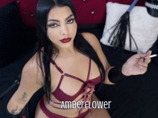 amberflower Edonkey xxx