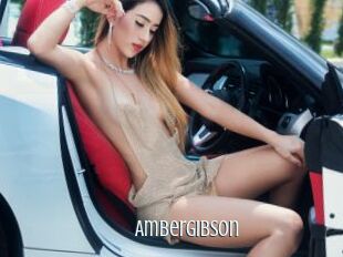 Ambergibson