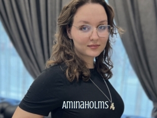 Aminaholms