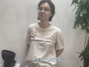 Amitygodsil
