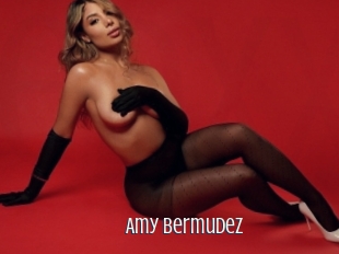 Amy_bermudez