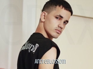 Andreblossom