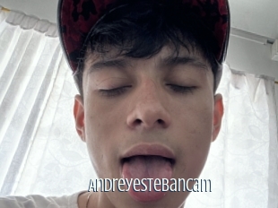 Andreyestebancam