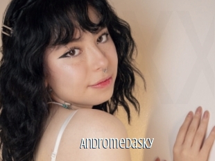 Andromedasky