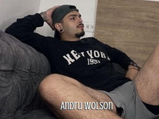 Andru_wolson