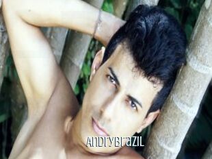 Andrybrazil