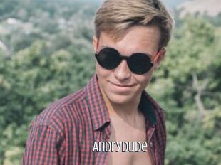 Andrydude