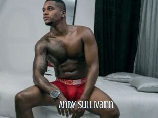 Andy_sullivann