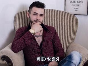 Andyhabibi